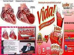 VIDA DRINK MIX